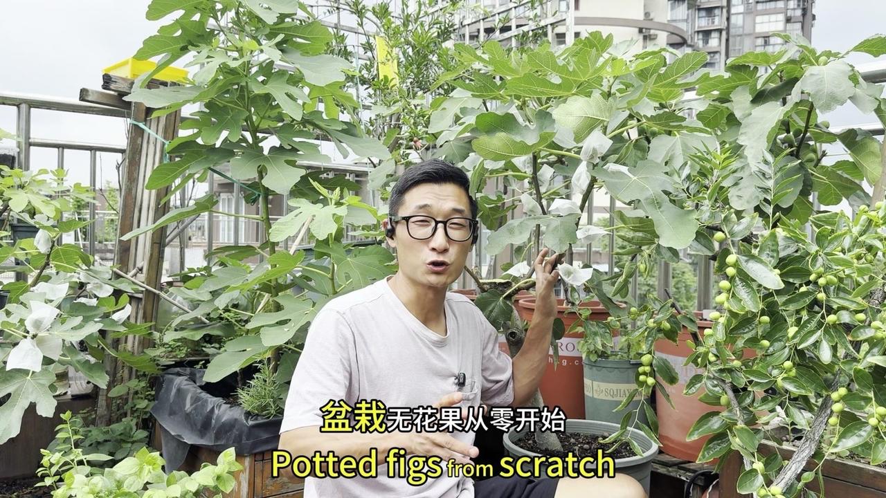 5块钱就能做一大盘辣炒鸡尖，香到舔手指，比外卖划算还干净～
1️⃣处理鸡尖：先洗