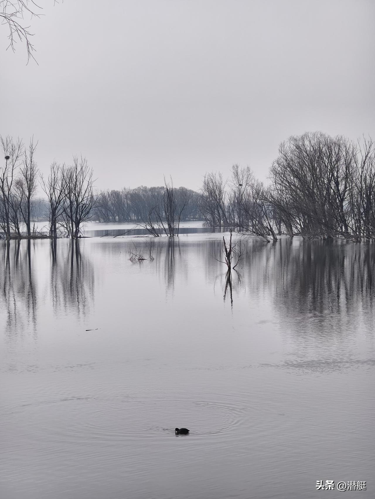 分享一张最近随手拍的照片昌平白浮泉公园随手拍，白浮泉公园是春天游玩的好去处，那里