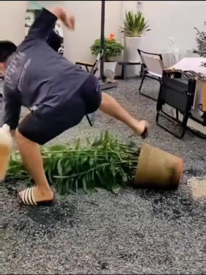 都是戏精