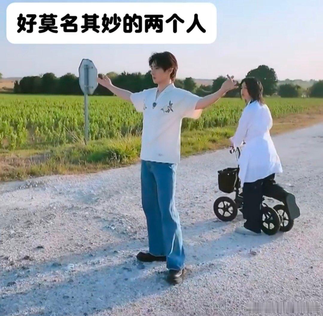 尚雯婕颜安咋这么好笑 巴黎合伙人 家人们，尚雯婕和颜安在向日葵地太搞笑了！尚姐掏