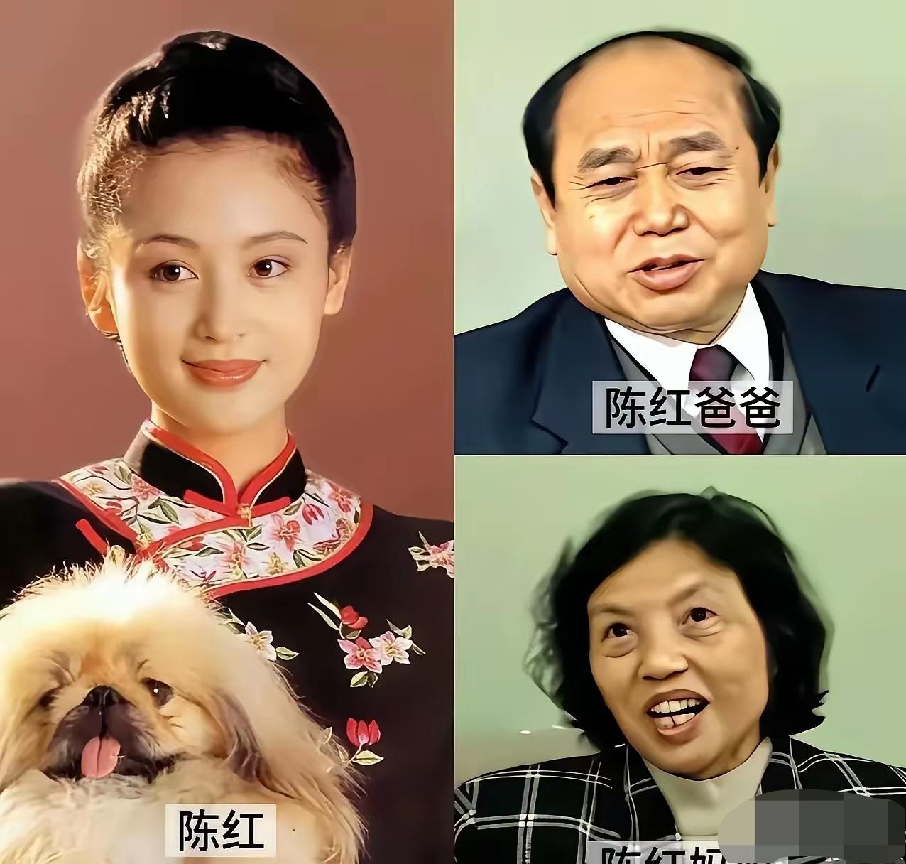父母长相平平，妈妈真是太会生了，生了一个颜值高，有气质，能挣钱，嫁的好，父母太有