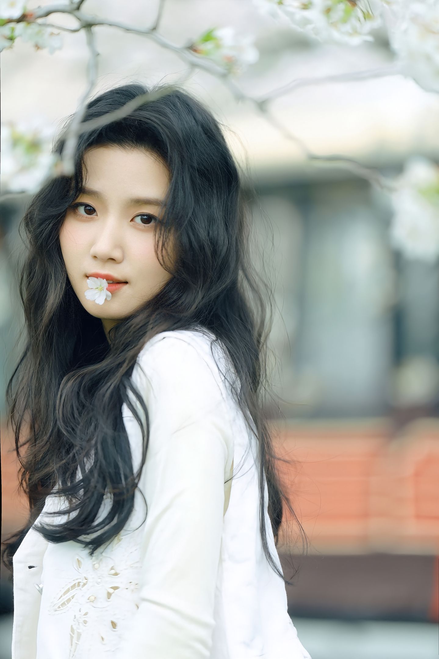 亦卷古月拍的卢昱晓 特别美的🌸 ​​​