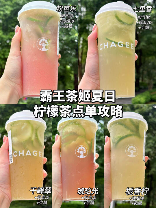 霸王茶姬柠檬茶强的可怕！！附点单攻略！！
