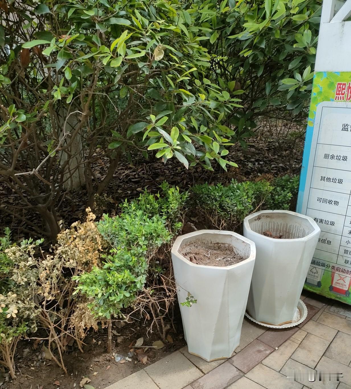 之前听人聊天讲：人老了就是从想捡东西开始的，80后有些人开始攒纸箱📦想捡瓶子了