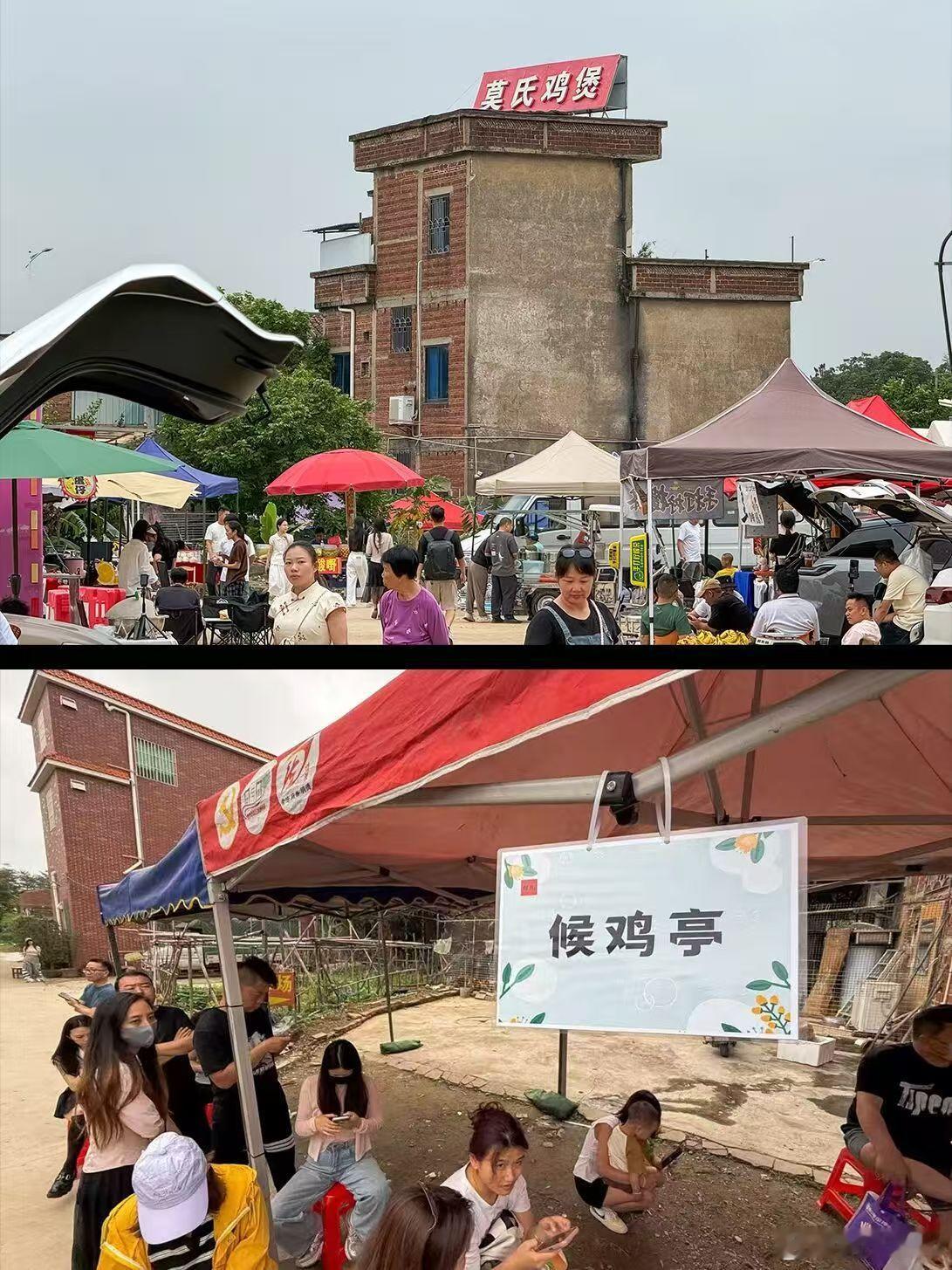 哈哈这个名字有点可爱