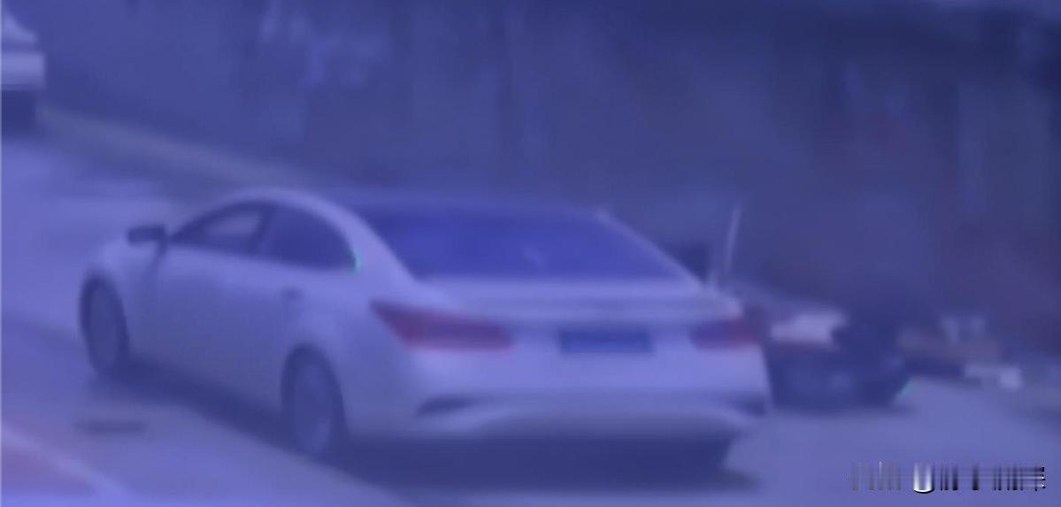 乘客开门杀司机全责合理吗？23年的时候在汕头某路段，一乘客“开门杀”致人八级伤残