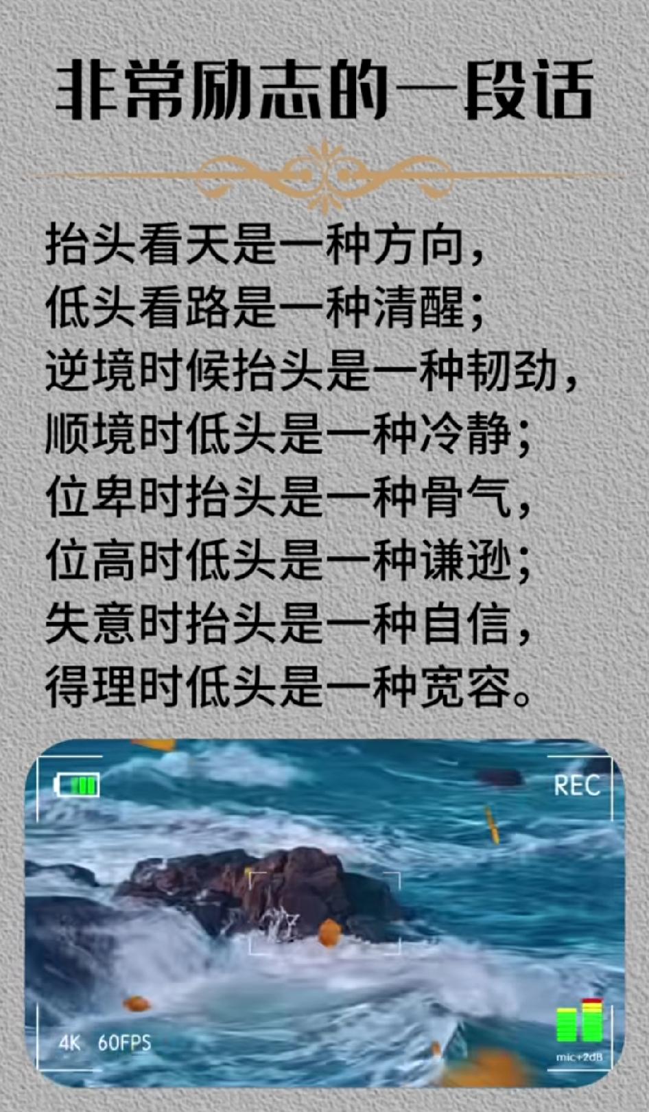 生活或许有风雨，但你自带光芒，把每一次挑战都变成成长的养分，勇敢往前走，美好一定