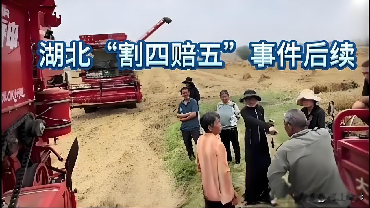如何看待湖北襄阳的抢收行动湖北襄阳“割四赔五”事件发生后，坑苦了本份的农民。从某