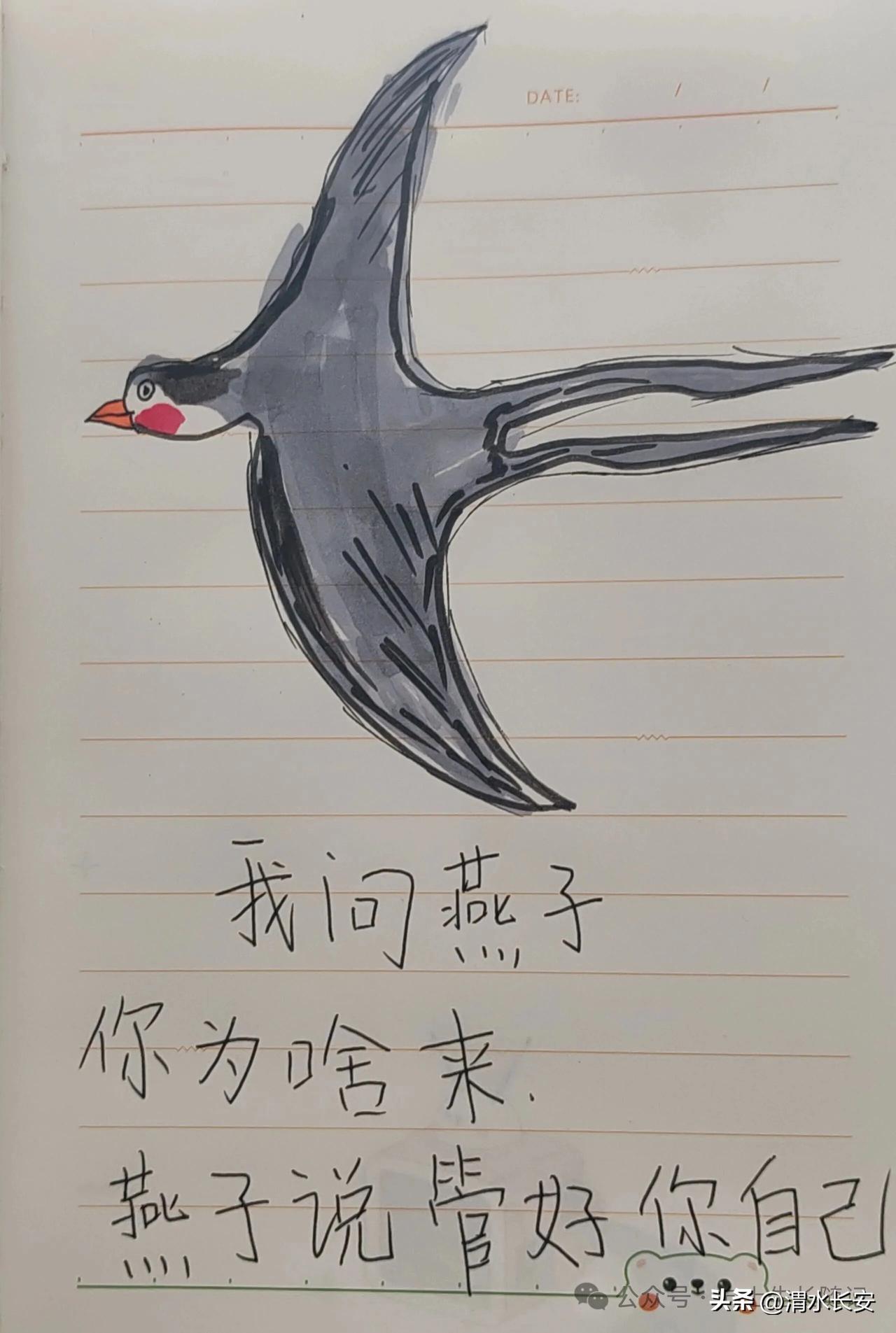 燕子清醒语录
我问燕子你为啥来
燕子：管好你自己！
有太多人自己整不明白自己的生