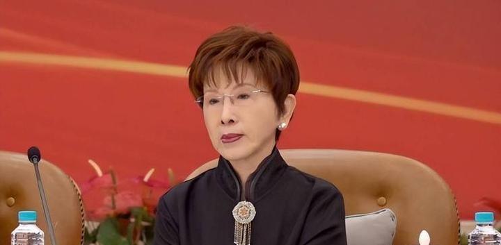 日前，国民党前主席洪秀柱参加在福建省福州市举行的纪念台湾光复81周年活动时，痛批