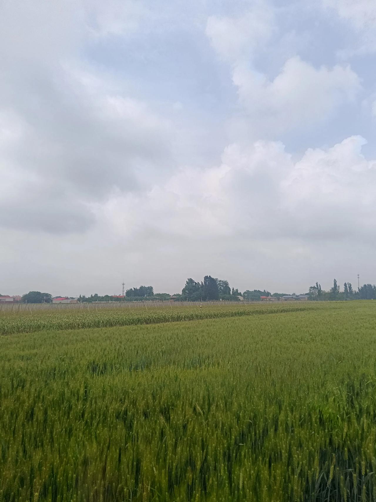 真的好迷茫啊，未来在哪里呢？想多挣点钱怎么这么难呢？普通人该怎么改变命运呢？