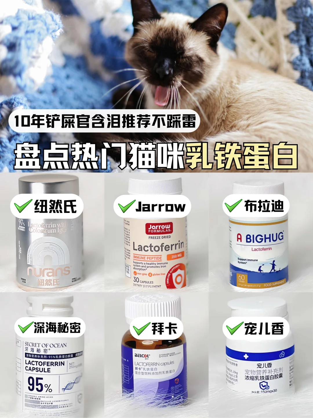 🔆主打真实！买猫咪乳铁蛋白看这篇就够了