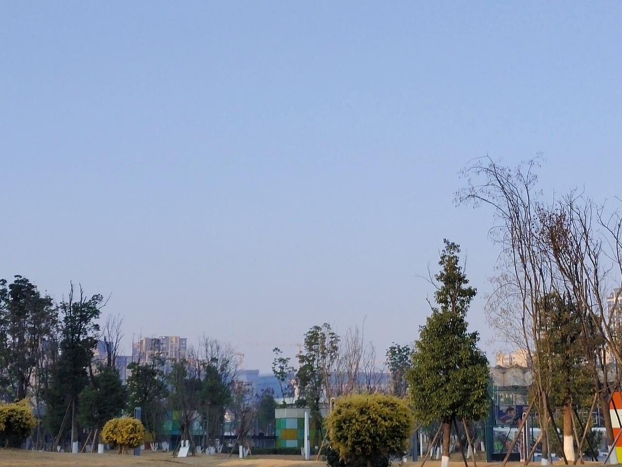 晒图笔记大赛冬日，清晨的阳光一照进来，就跟给世界披了件金色的外套。那光软乎乎的，