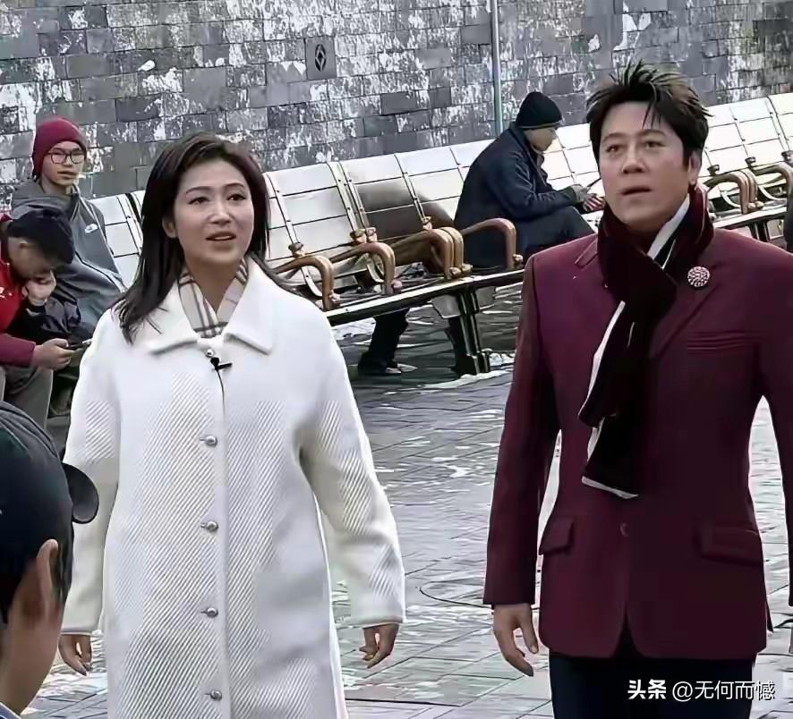 跟蔡国庆走在一起的这个女子，对她不是很熟悉，这都是以前的老照片了，在拍摄这些照片