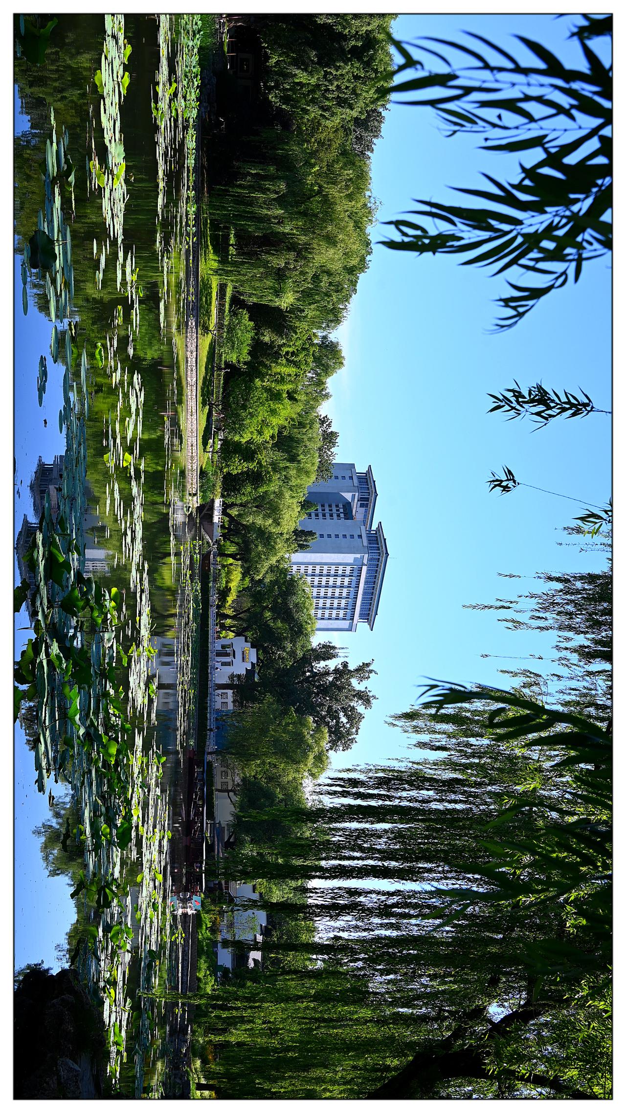 紫竹院公园