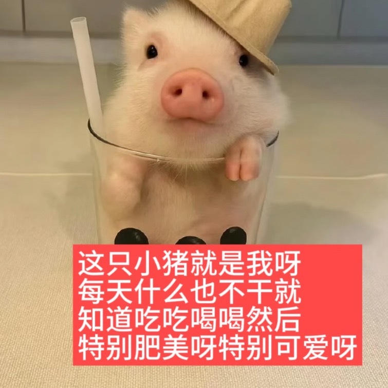 完全不知道怎么蹭热搜 