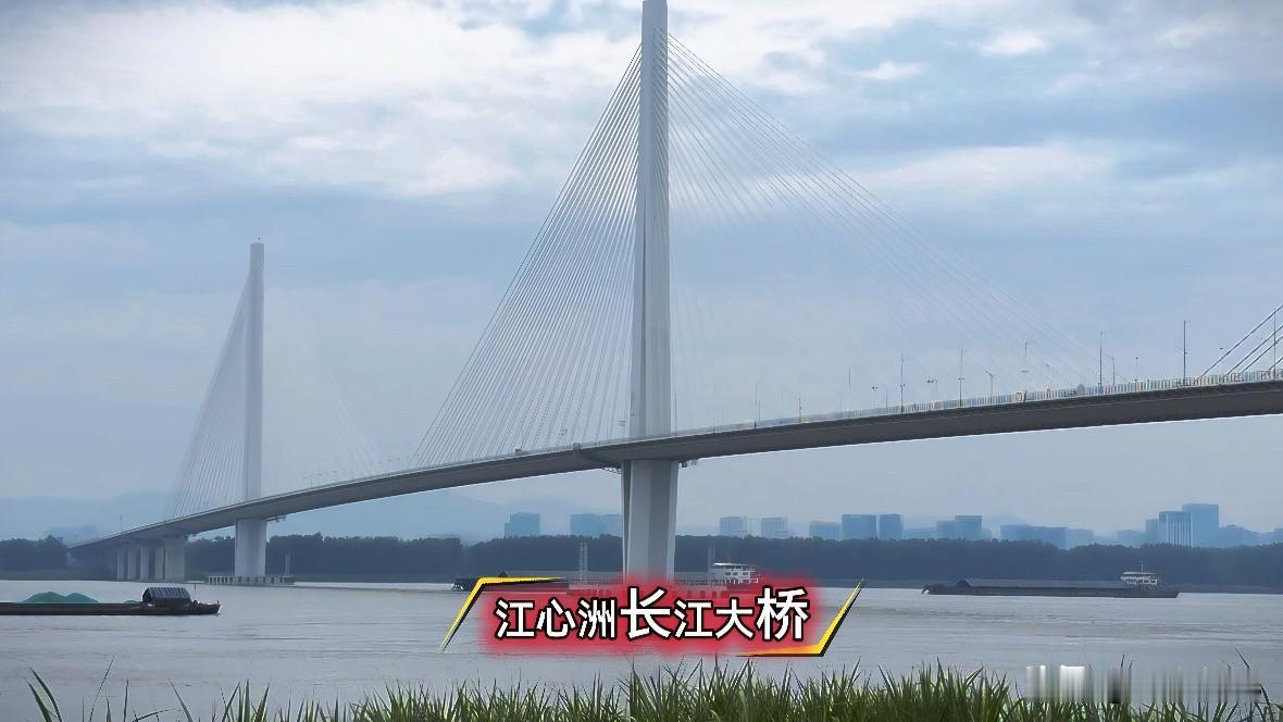 骑行江心洲，风光无限美