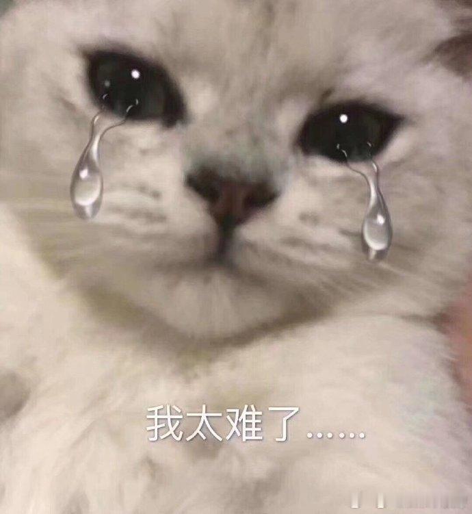 第一批用AI的受害者出现了求职者套用AI写的简历模板，话术千篇一律，还被AI编造