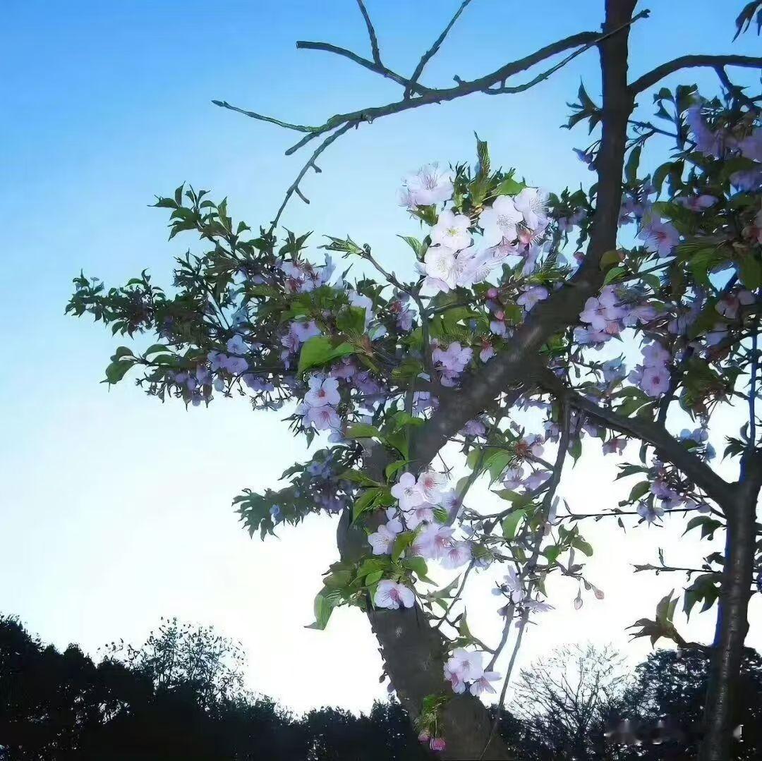 再好的感情，也经不起这3件事的反复消耗
 
感情从来都不是坚不可摧，而是越用心就