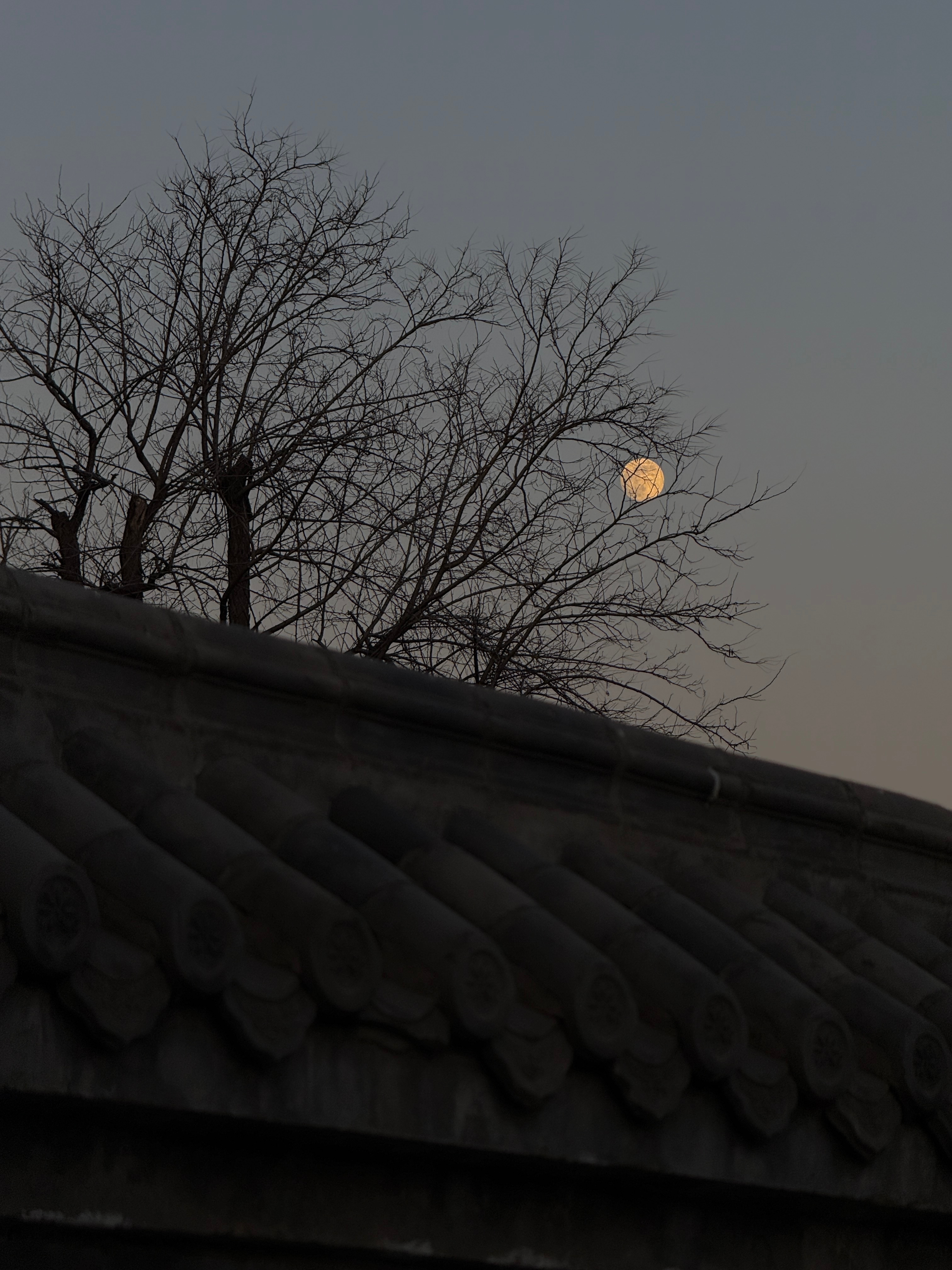 28岁。允许被祝福，也依然靠直觉拍照。 