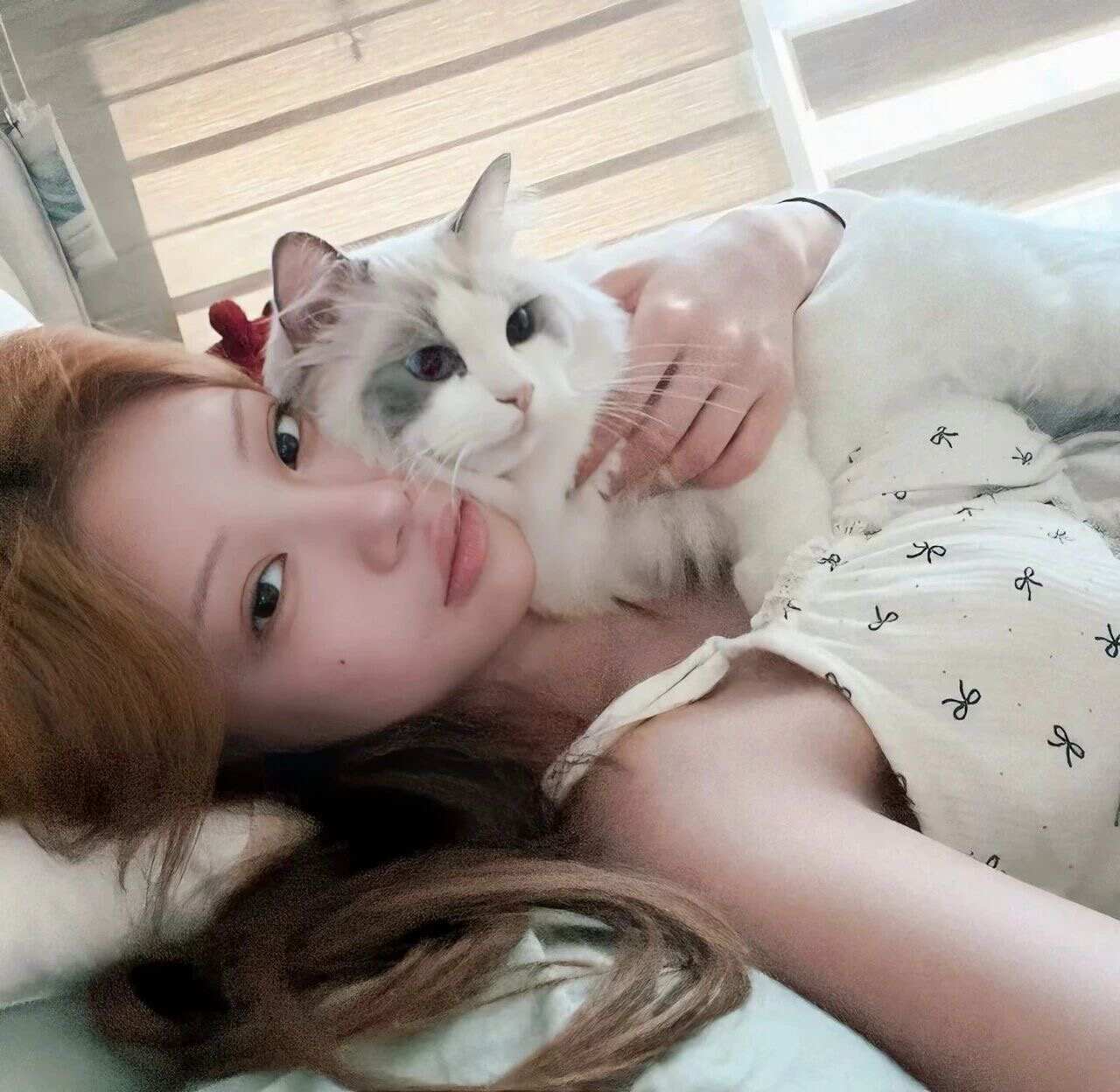 𝑾𝒆𝑪𝒉𝒂𝒕头像 | 猫猫🐱狗狗🐶 ​​​