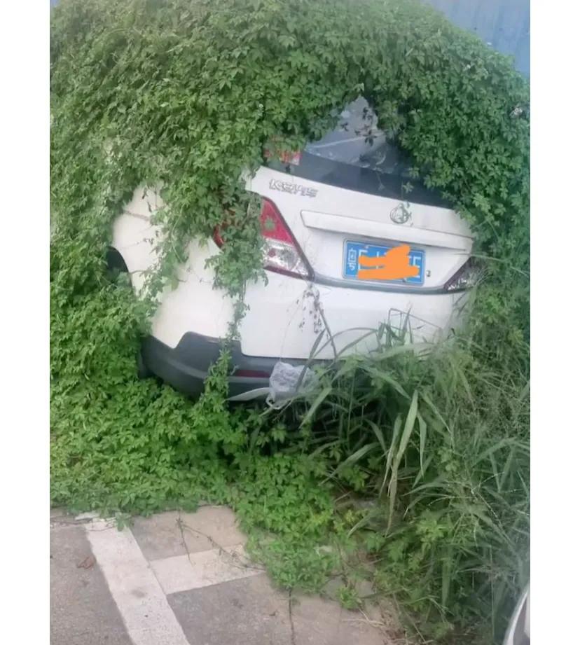 车主傻眼了
#浪漫生活的记录者
不知车主现在怎样了?或者是僵尸车吧。平时都上班，