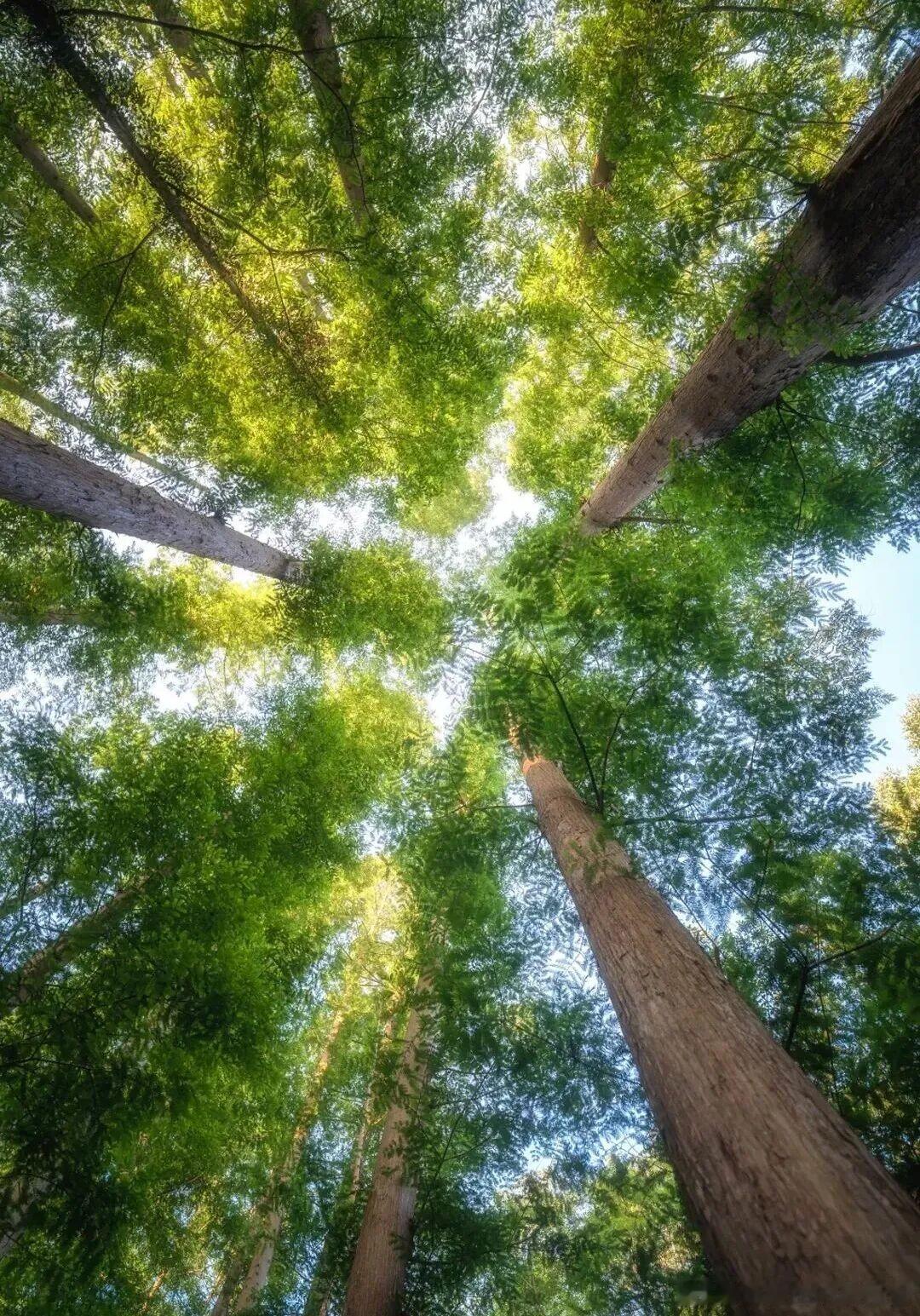 长沙7处免费清凉秘境｜溯溪徒步好去处，一键逃离盛夏闷热🌿持续闷热的天气，急需躲