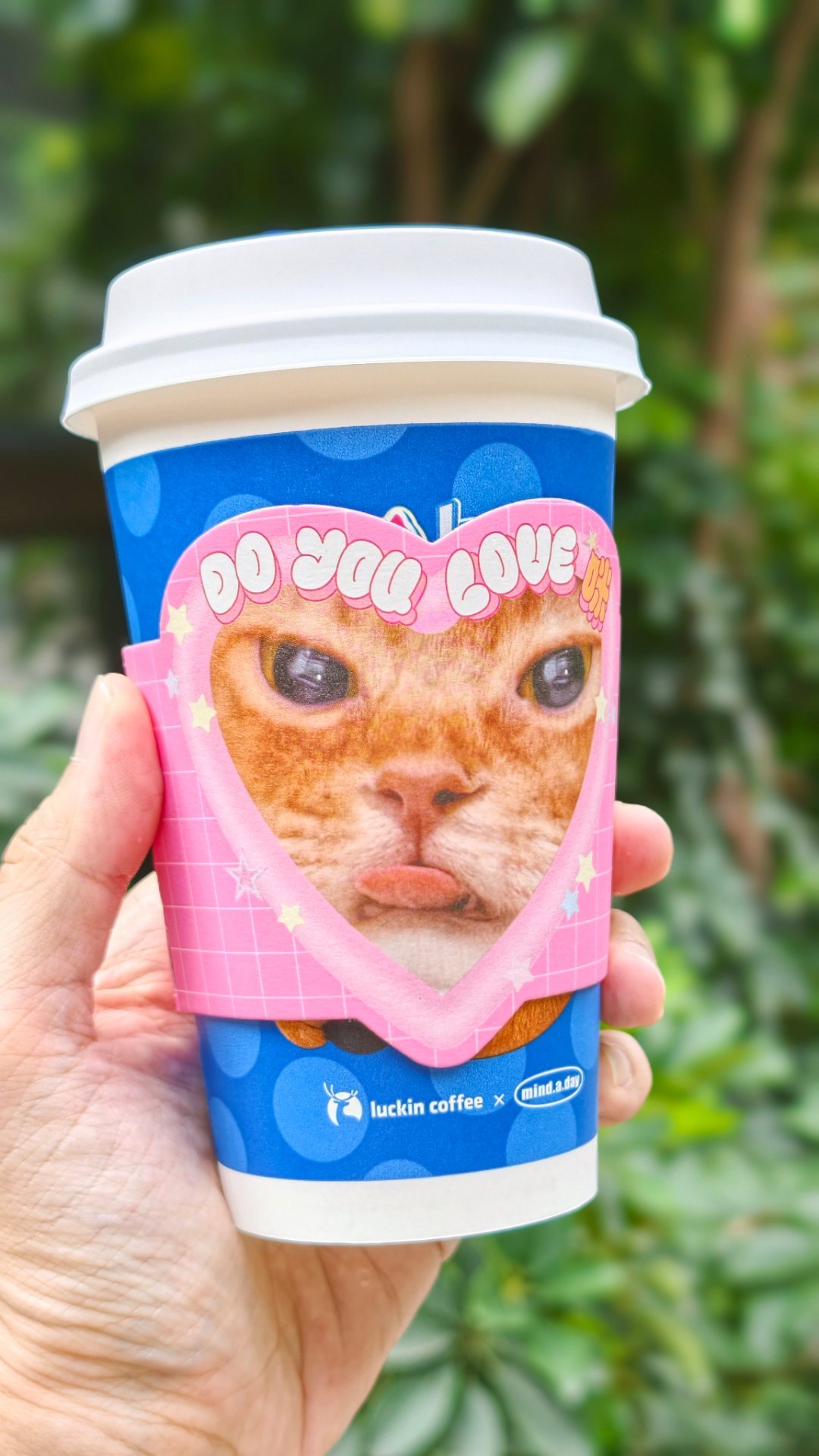 瑞幸这个猫咪杯最近广受好评，来一杯，开工☕ ​​​