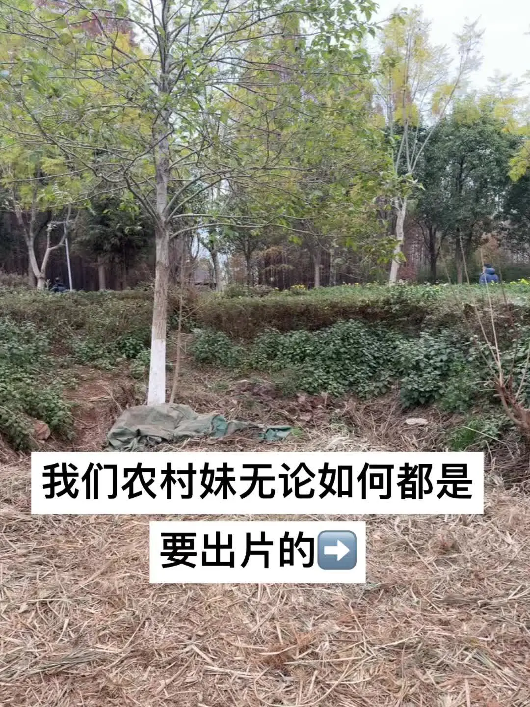 从不抱怨环境