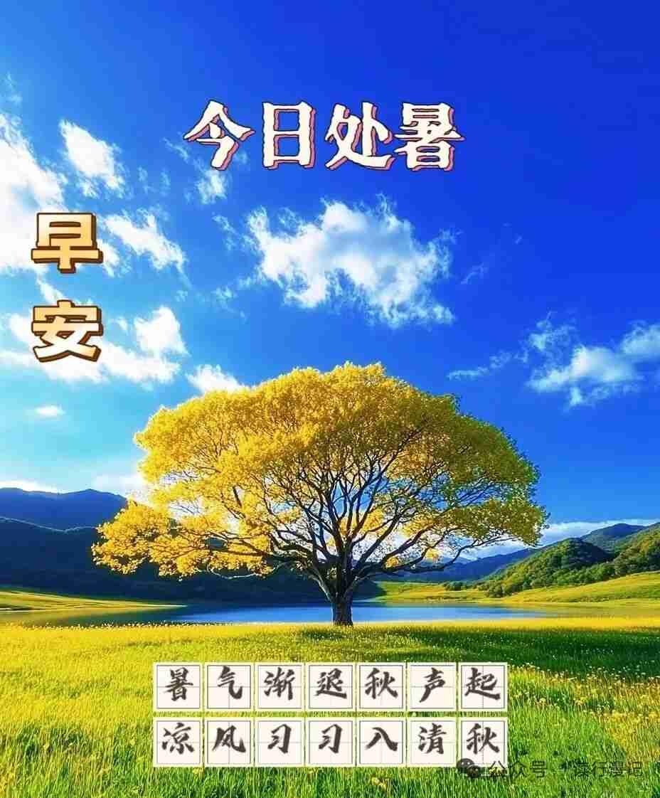 我的今日状态：😁轻松愉快
我这里的天气：🌤️多云
时间过得真快，转眼间三伏天