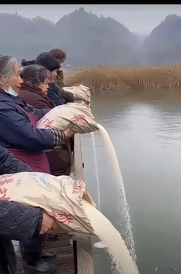 这些老人怎么啦，好像在往水里倒米，怎么能这样，是不是疯啦，谁知道究竟怎么回事。