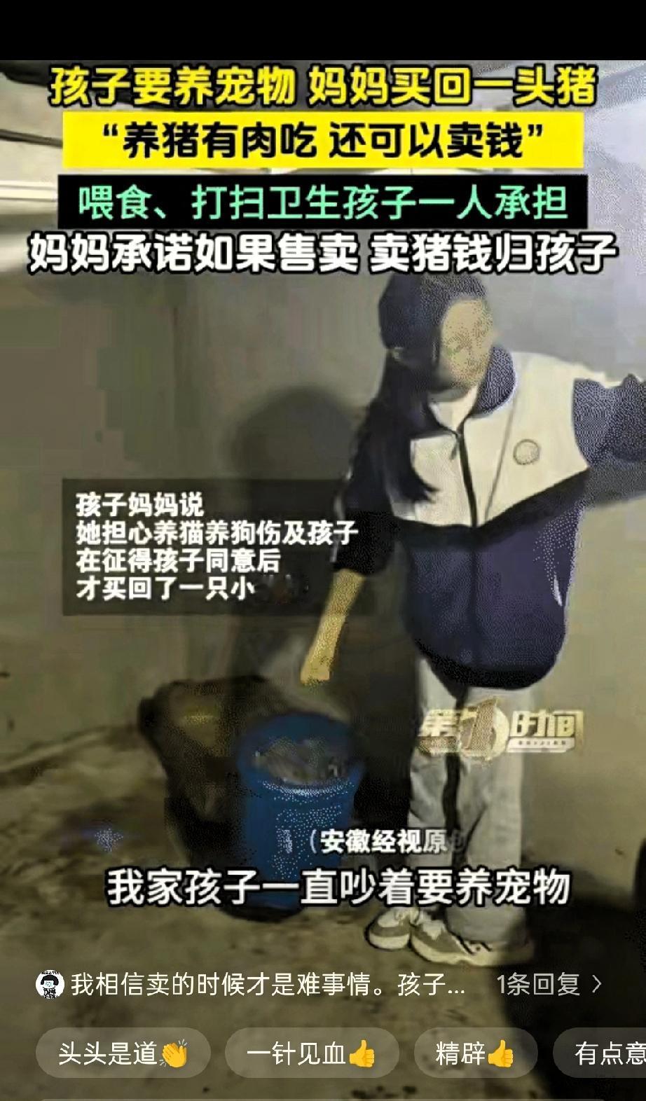 太有意思了！贵州平塘，一小女孩天天缠着妈妈，哭着闹着想要养宠物，妈妈一开始直接拒