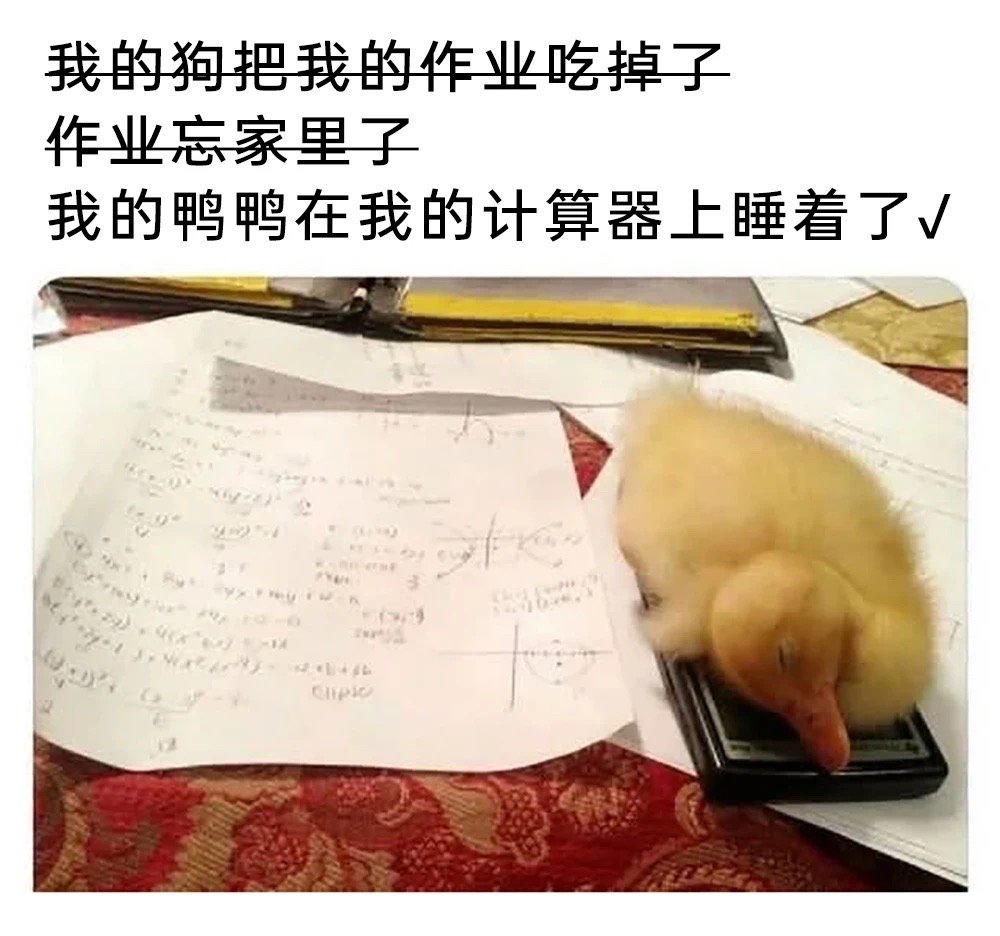 不好意思哈 ​​​