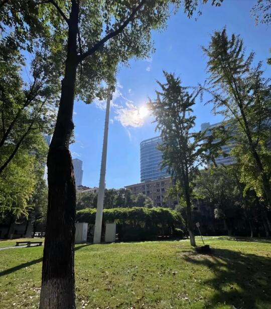 城市里的一角风景