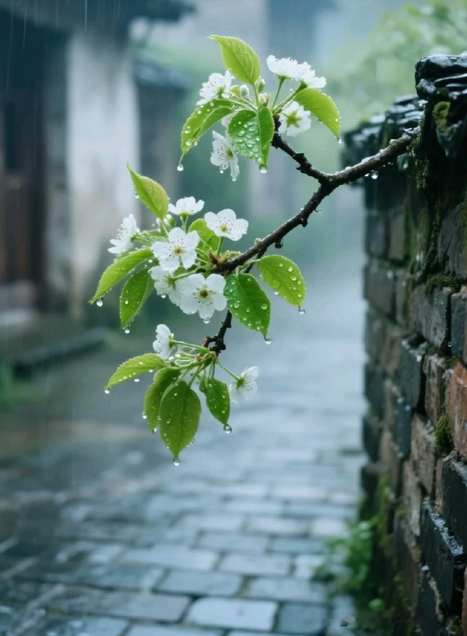 为人父母天生有护犊之心，不少父亲生怕孩子吃苦碰壁，习惯性大包大揽。

遇到难题第
