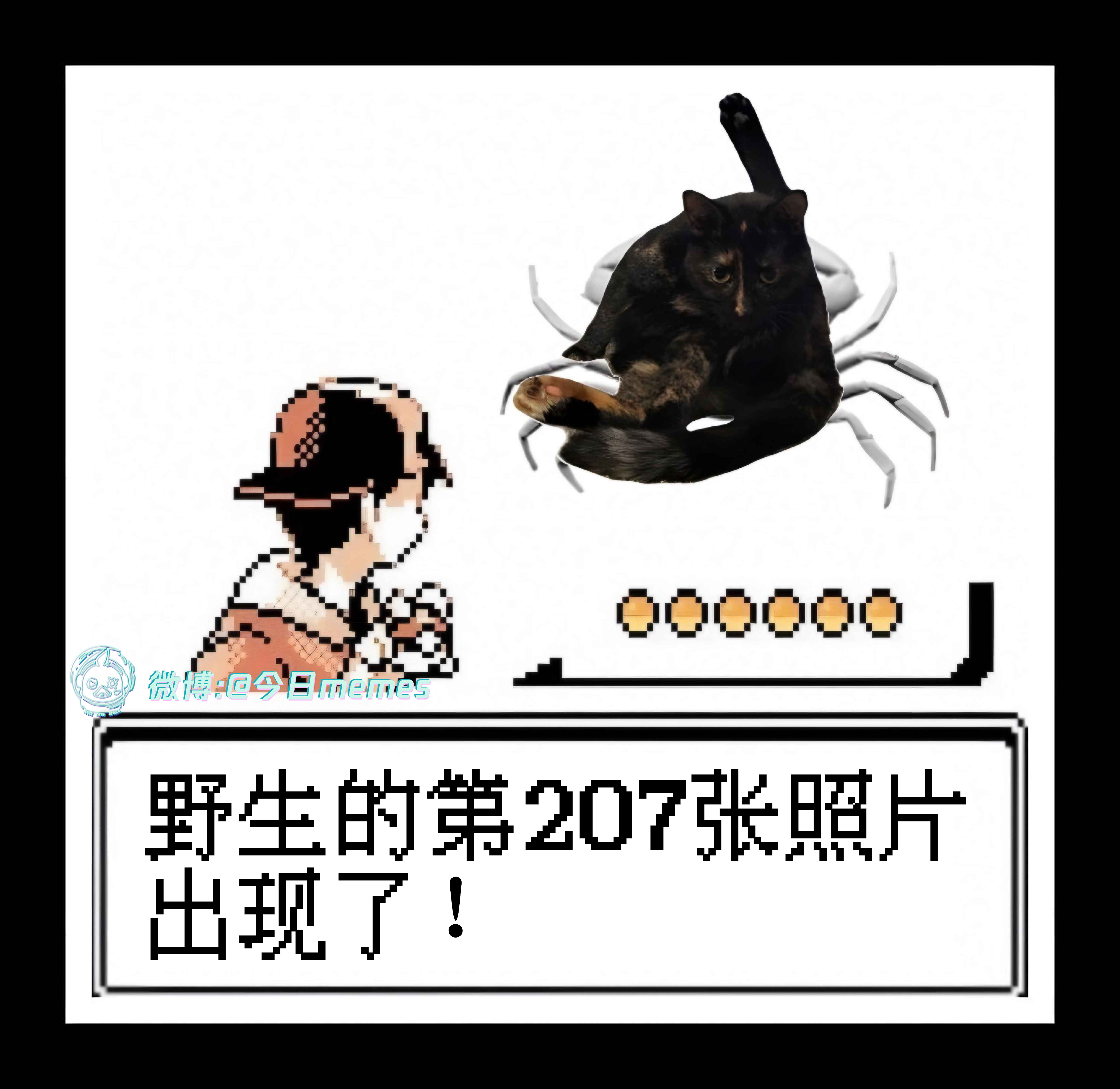 收服（9gag）今日meme 今日memes