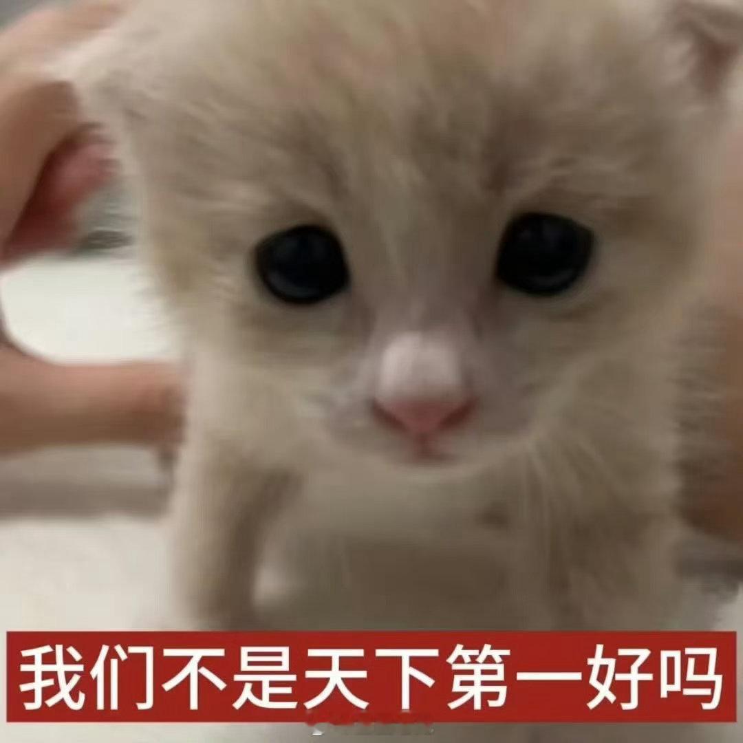 刘浩存 代言现在这个娱乐圈代言还挺有意思的，网传浩存将代言贴身衣物品牌菇娘家，然