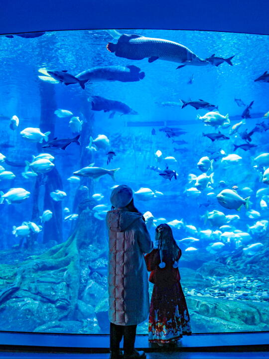 当海洋和非遗融合，我被这年味狠狠震憾到了！