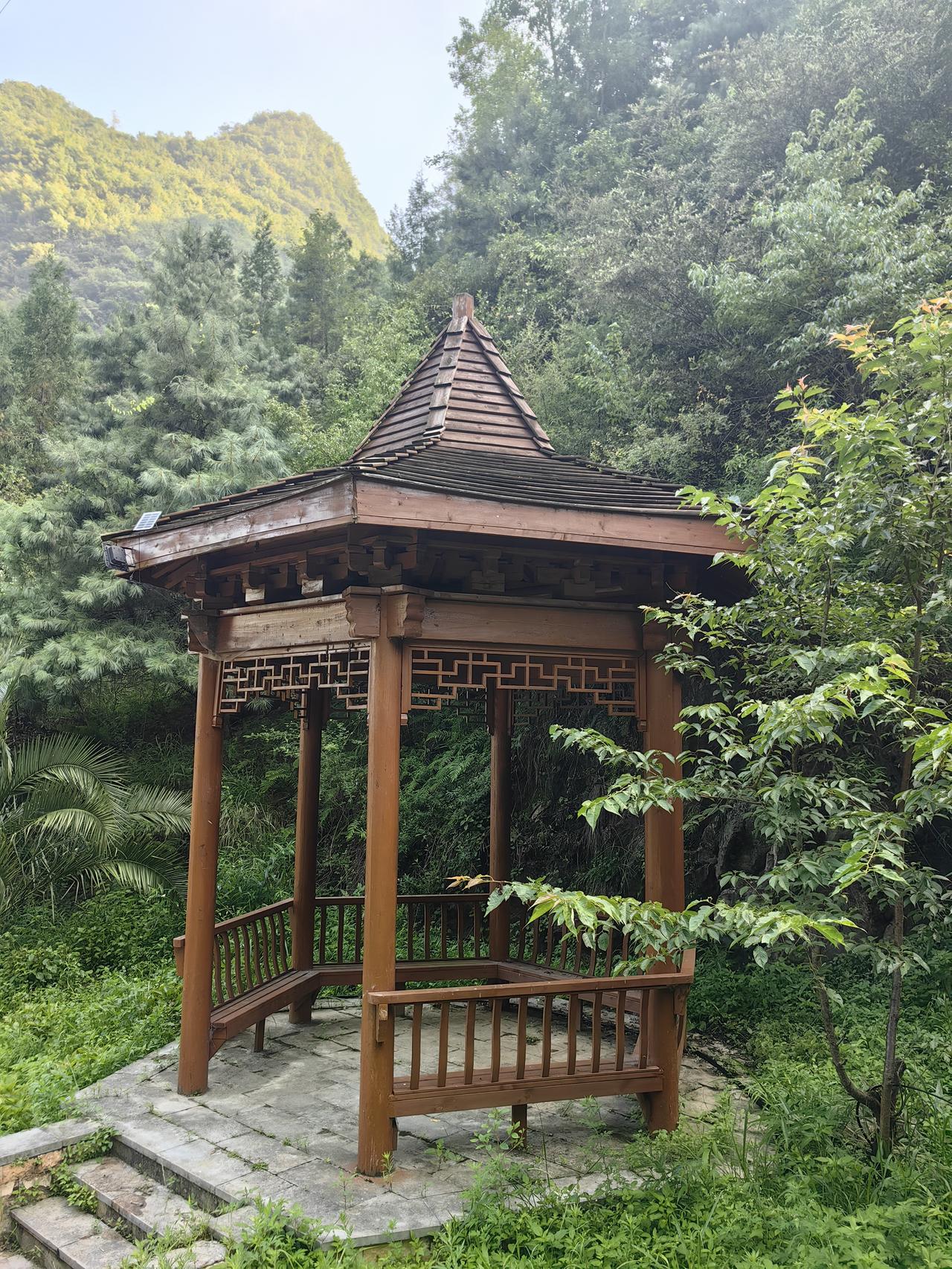 下午分时指标修复为多头后，拉升，拉升，再拉升……[比心][比心][比心]