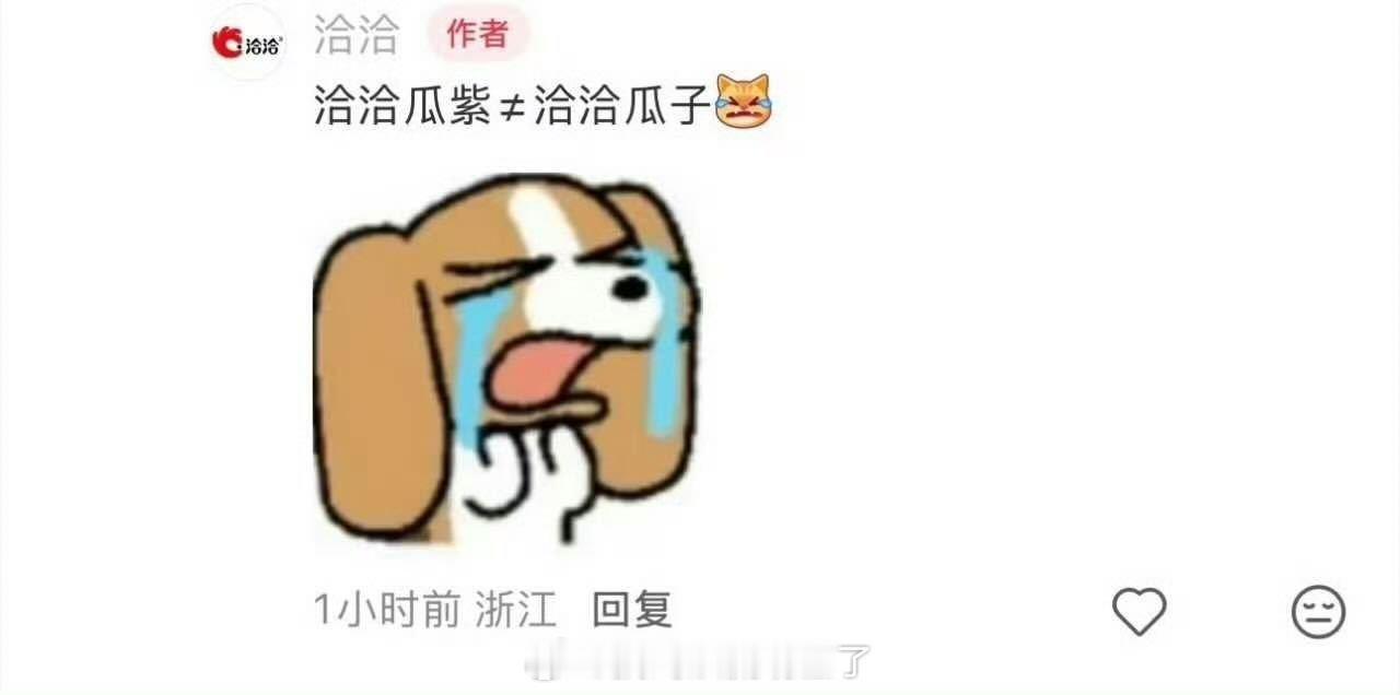 洽洽瓜紫≠洽洽瓜子 