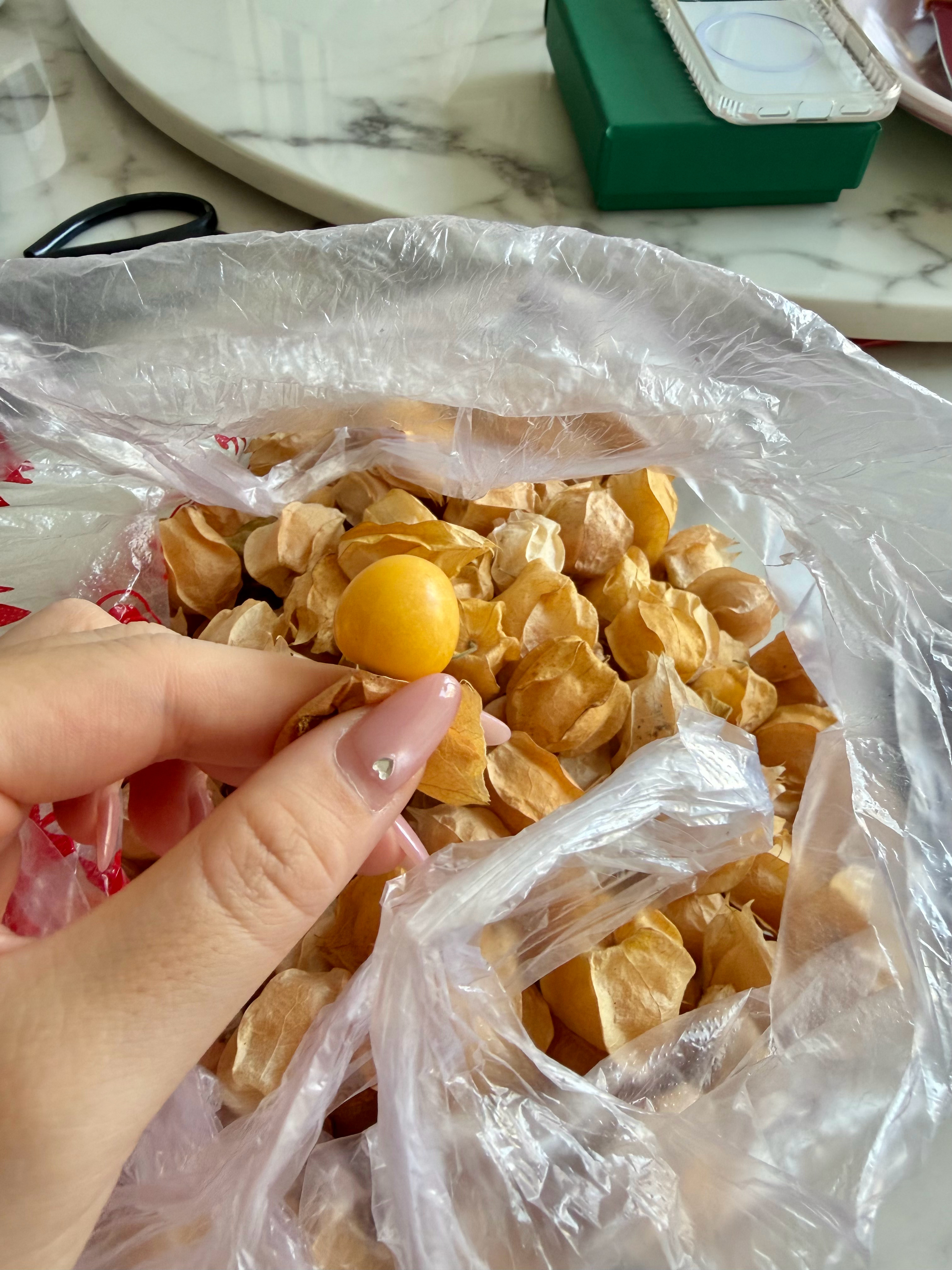 人的状态很可怕，哪怕是短短几天。从美国回来以后青岛野到北京，北京野到大连，再从大