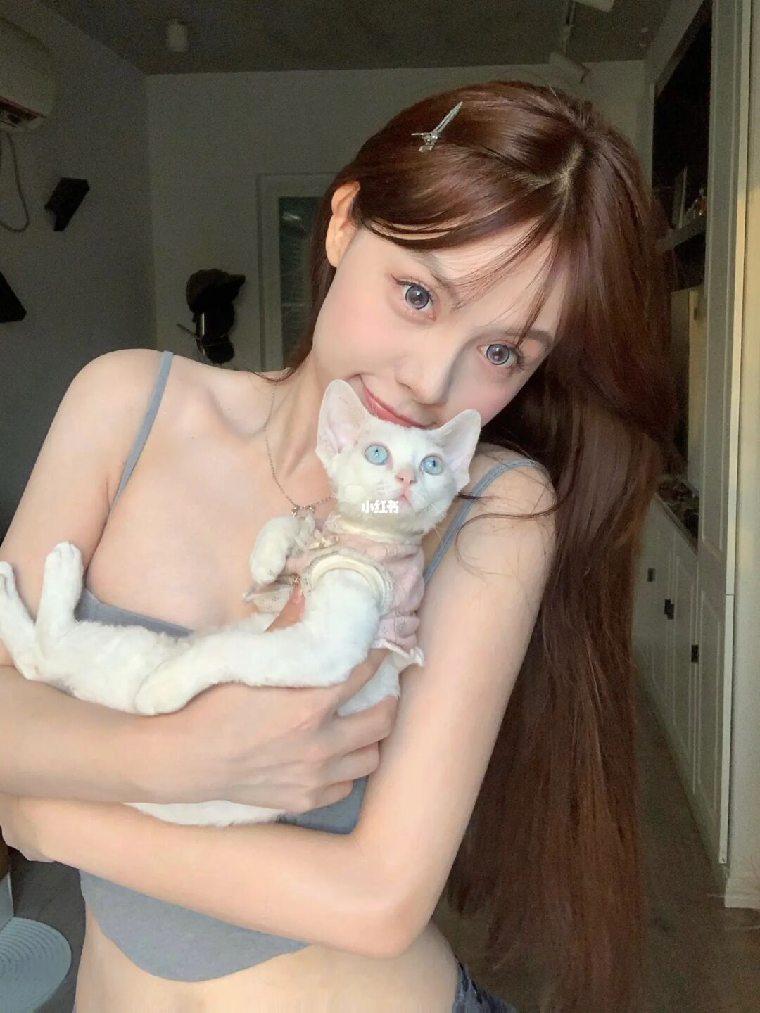 国庆快乐🐱