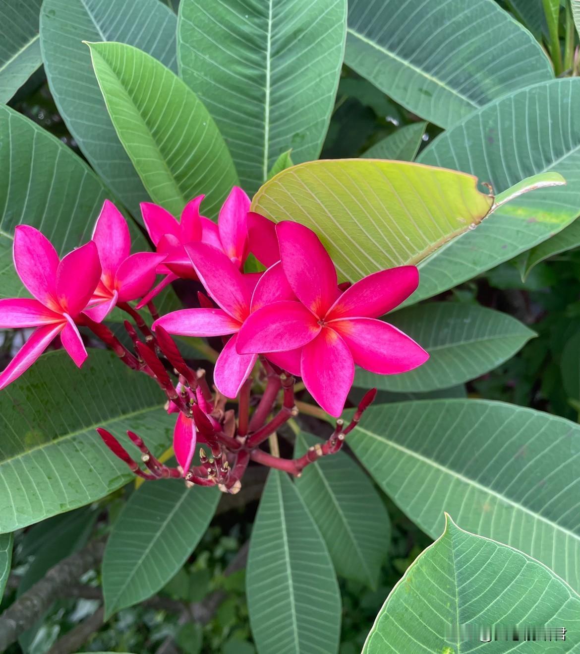 遇到这种事千万不要多嘴管闲事。一阿姨，50多岁了，前阵子从别人嘴里知道她61岁的