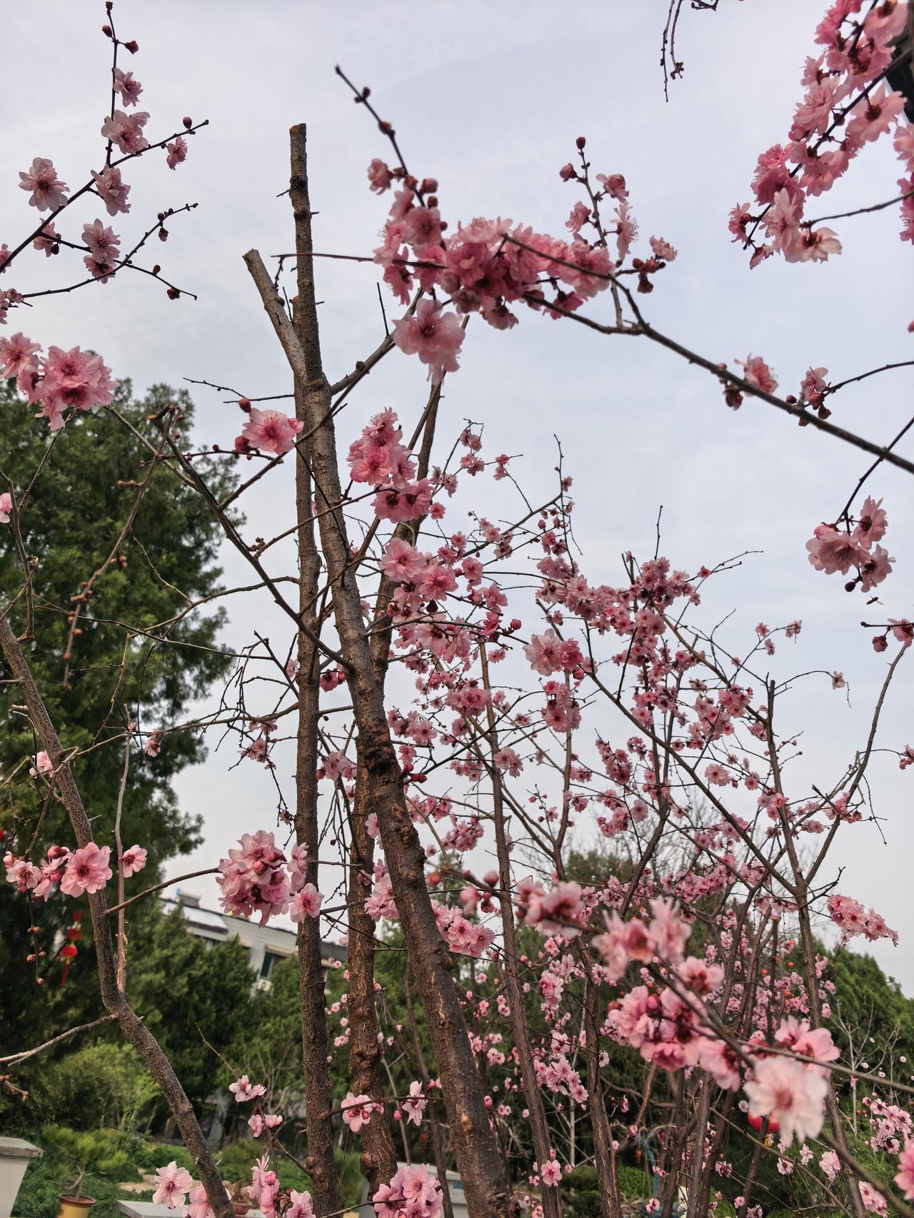 晒图笔记大赛做一个情绪稳定的人