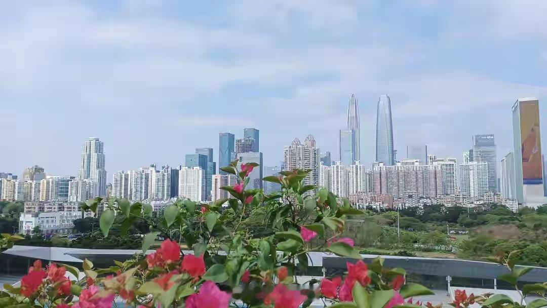 深圳今年已累计完成重大项目投资2252.8亿元。2026年深圳全市共安排重大项目