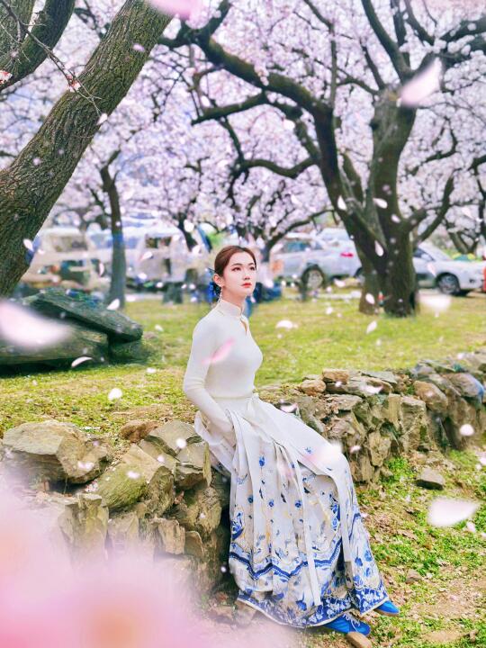 西安杏花季最后7天！10元承包百年花海+露营
