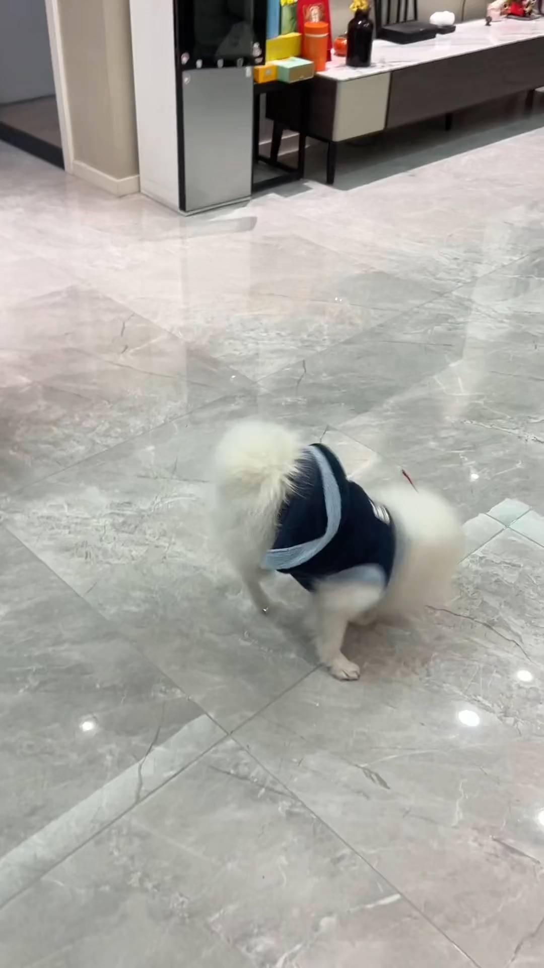 哈哈哈。