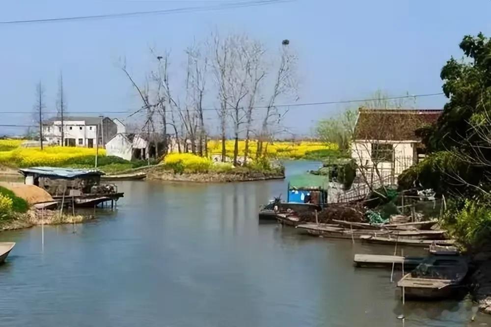 情牵乡土韵 思系岁华章
－－赏《通村人的“表新哥” 》之幽情今昔
在高淳区人大原