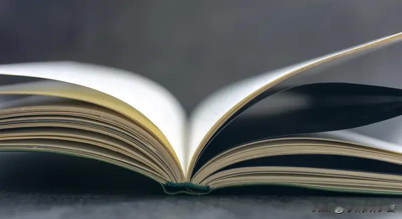 今年最受益的一本书 今年最让我受益的书当属《显微镜下的大明》。它不讲帝王将相，专