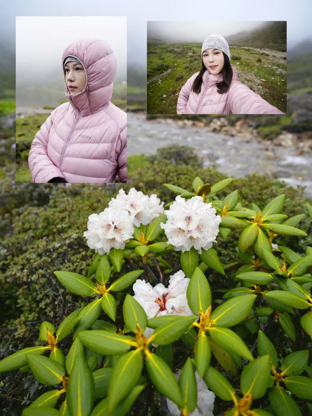 没等到晴天⛰️但我收下了整座山的不如这样